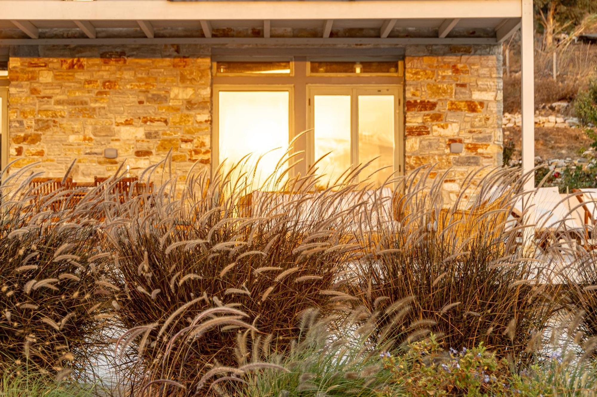 Sunshine Villa Mikri Vigla Dış mekan fotoğraf