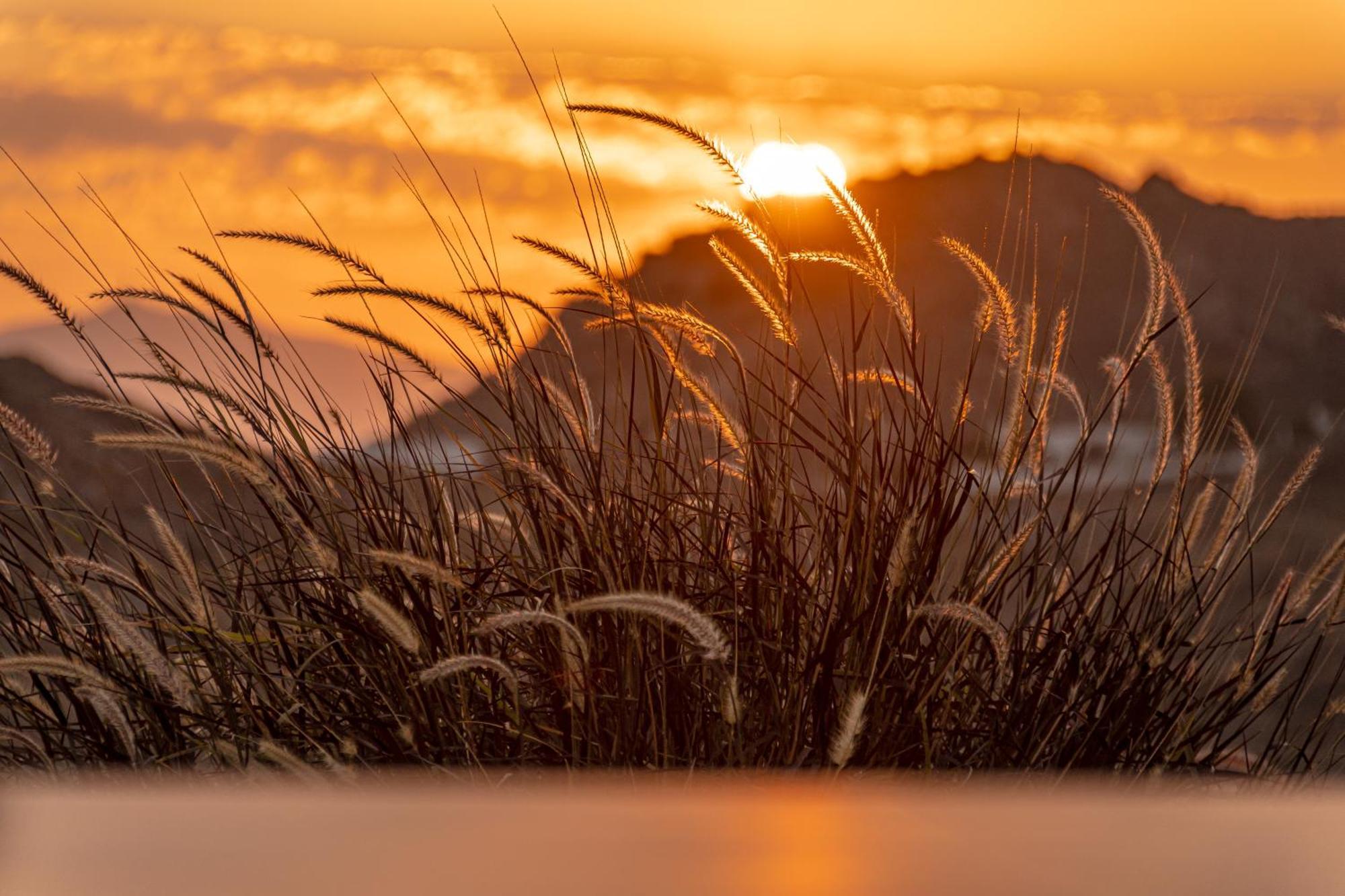 Sunshine Villa Mikri Vigla Dış mekan fotoğraf