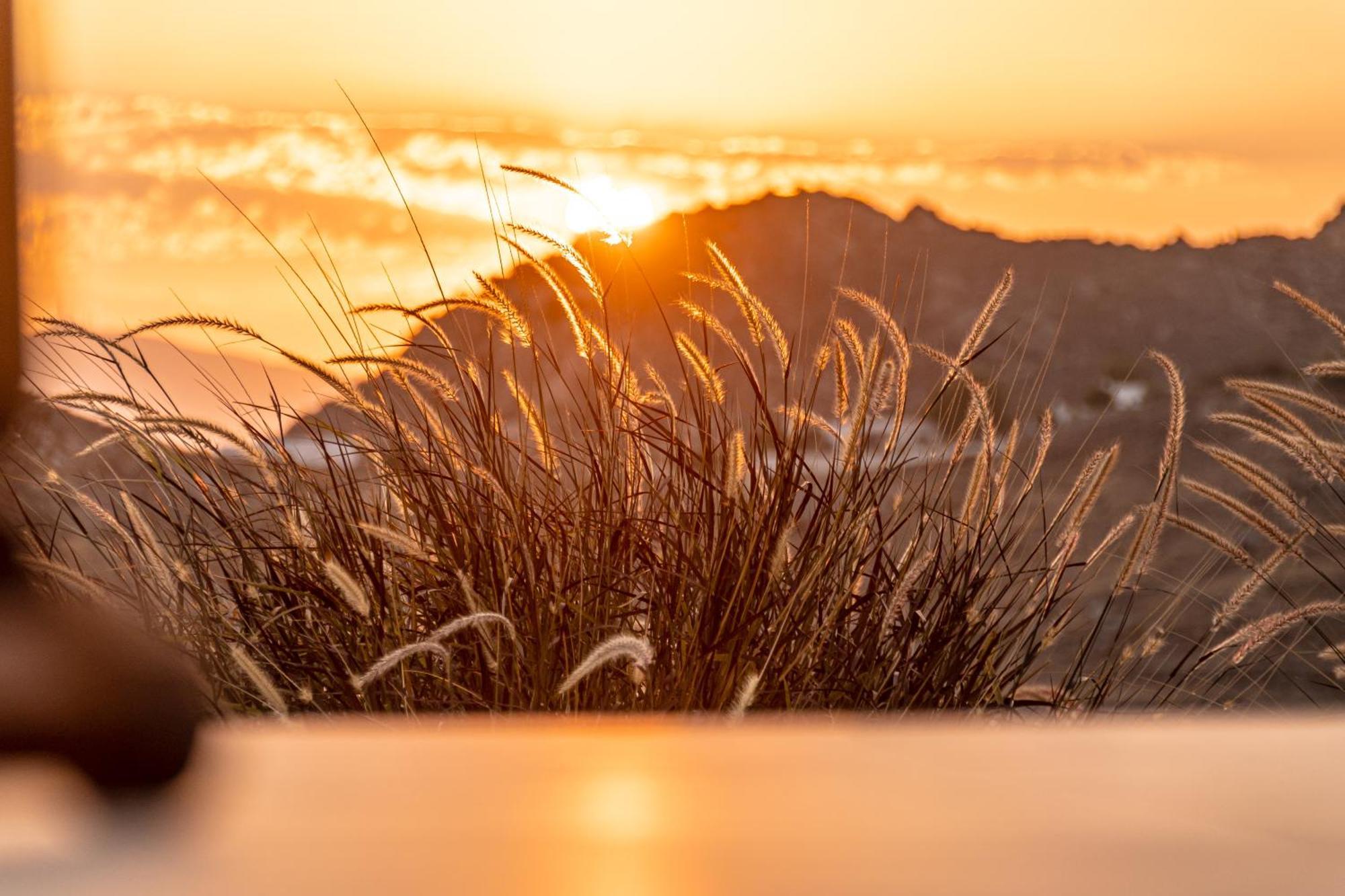 Sunshine Villa Mikri Vigla Dış mekan fotoğraf